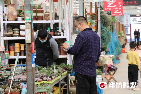 君泰花卉文化城内市民正在买花.
