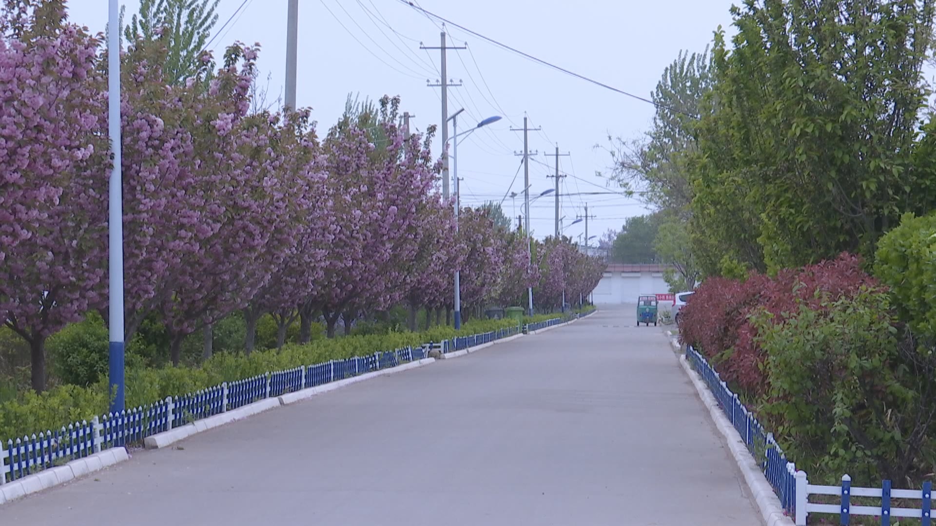 安丘景芝半月天气怎么样的简单介绍