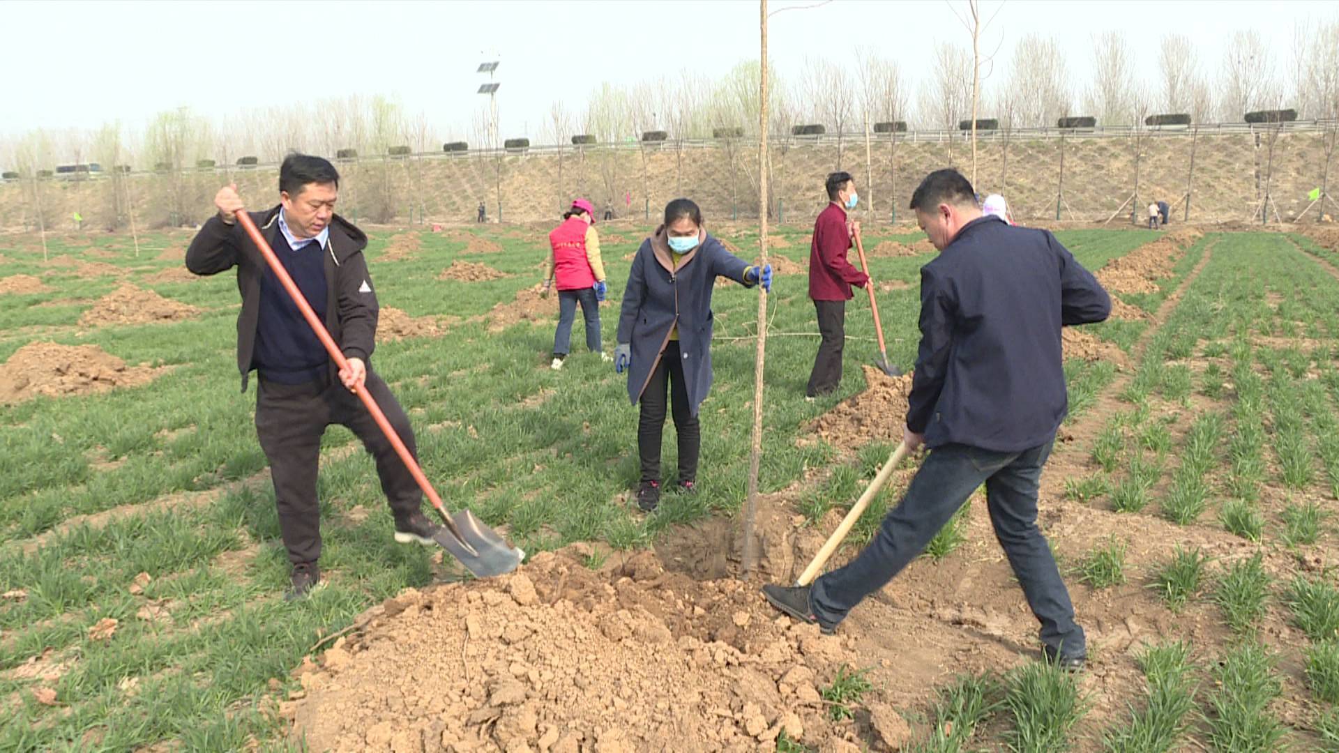 兖州区委副书记区长王营参加义务植树活动