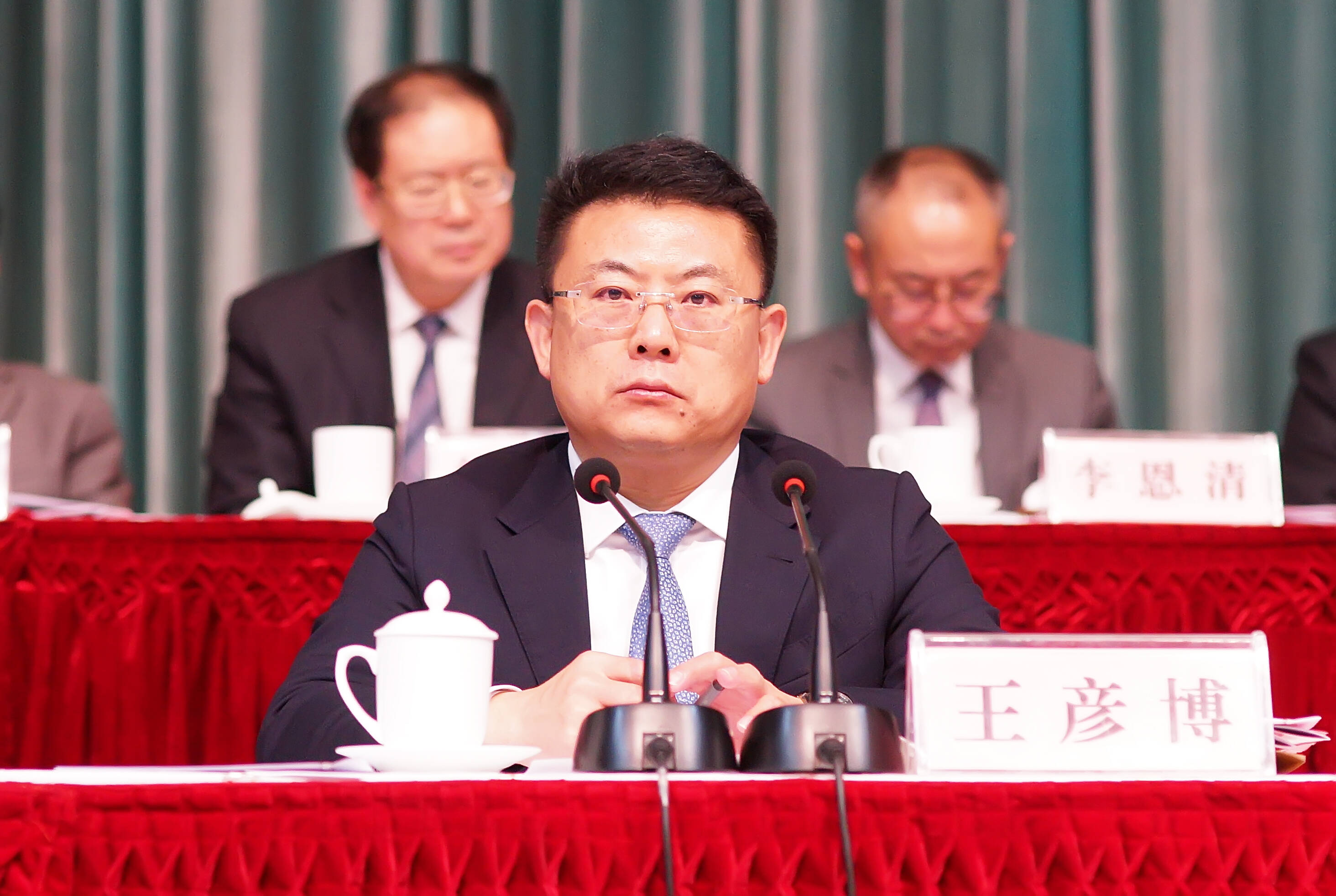 海阳市委副书记,市长 王彦博王彦博就贯彻落实会议精神进行了强调