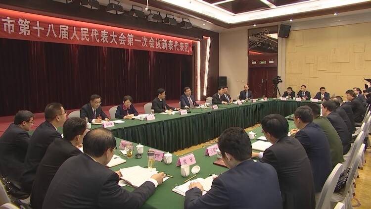 杨洪涛在参加泰安市第十八届人民代表大会第一次会议新泰代表团分组