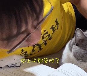 ></p></a>>>因疫情无法返乡,清华博士宅在家给猫讲函数!