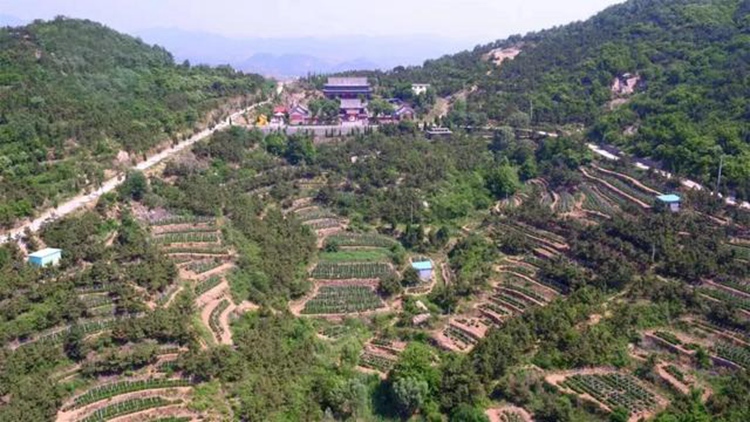 莱芜龙山景区