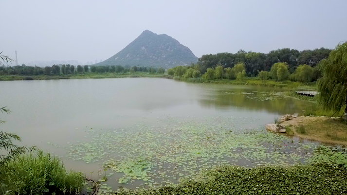 华山湿地公园鹊华烟雨盛景再现143秒视频带你回顾三年建设历程