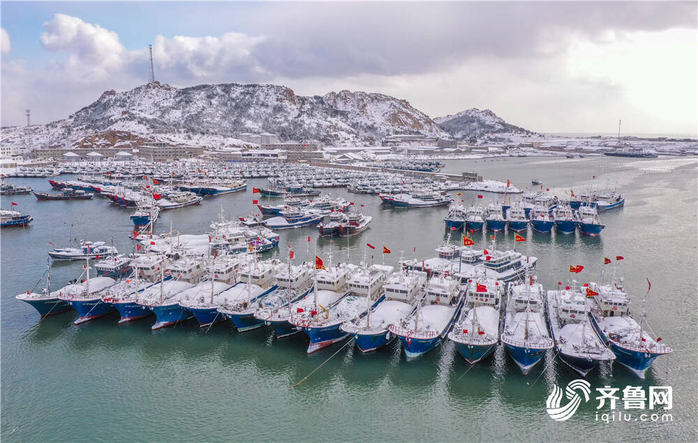 组图丨冰雪为墨雪后荣成成山美景入画来