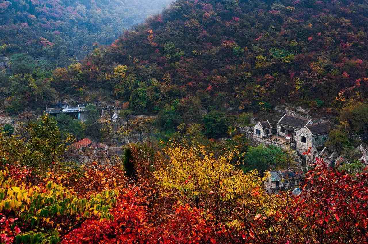 讲述青山里的故事!扶贫大剧《绿水青山带笑颜》是在淄博博山取的景