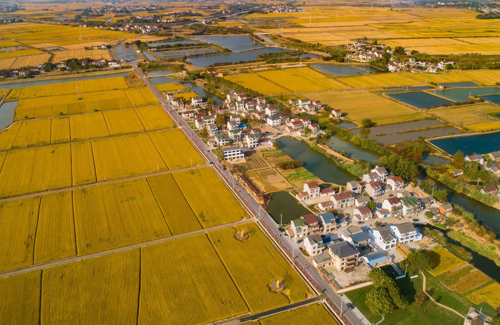 高质量发展看江苏一条彩虹路串起溧阳乡村振兴图景