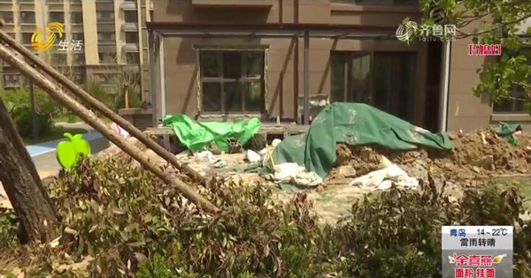 济南三箭瑞景苑二期阅山府小区一楼住户集体"扩院"开发商:多次协商无