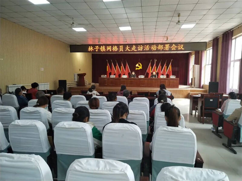 临邑县林子镇召开网格员大走访活动部署会议