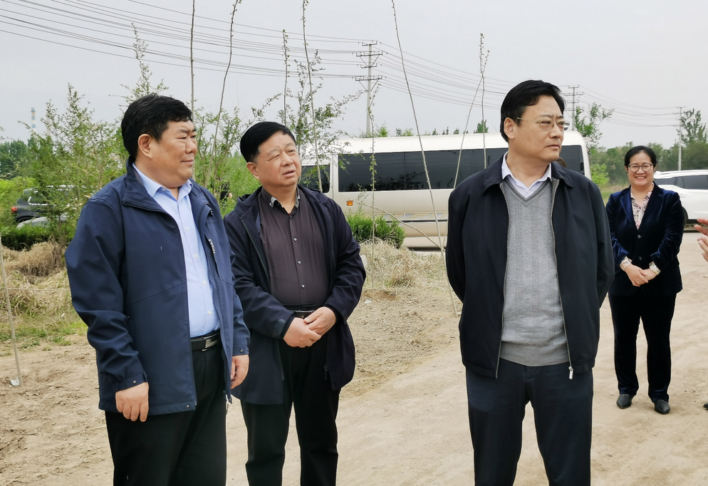 德州市政协副主席党组副书记王春利来乐陵督导环保工作