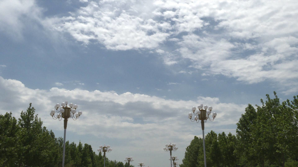 菏泽市定陶区天气放晴带来初夏美景