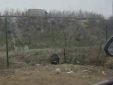 北京警方6天查獲223人逃避防疫檢查進(jìn)京，刑拘55人