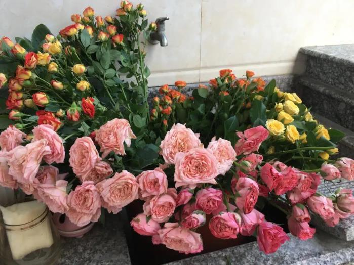 貨不對(duì)板、差評(píng)不顯…在直播間買(mǎi)花該如何維權(quán)？