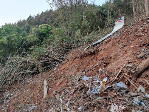 八旬村民查看秧田 意外發現失事飛機殘骸