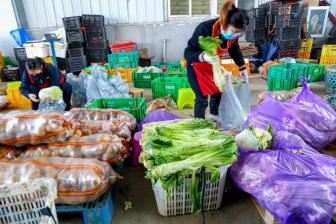 天津发布倡议书：加大西青区辛口镇滞销蔬菜采购力度