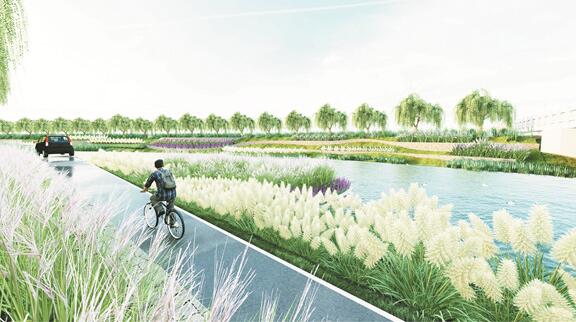 打造淄博张店东部绿色长廊、生态水系、滨河公园 涝淄河综合整治将于本月开工