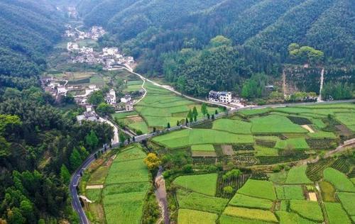 疫情下“不誤農(nóng)時(shí)” 中國(guó)高層部署“飯碗”大事