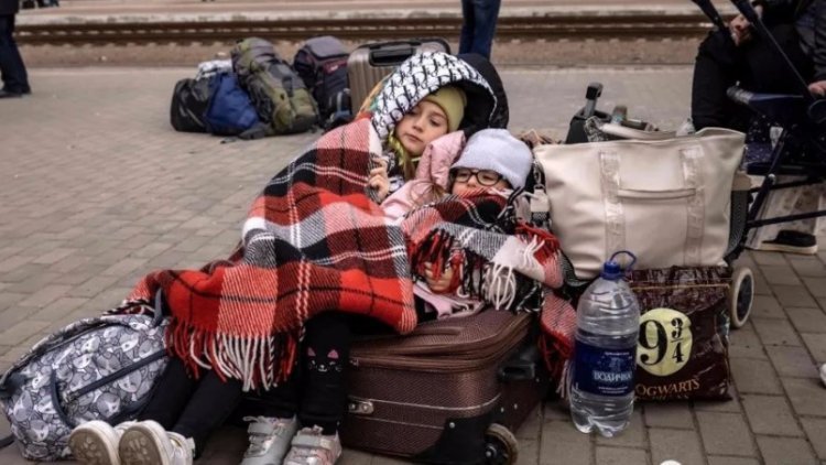 乌克兰难民，都去哪了