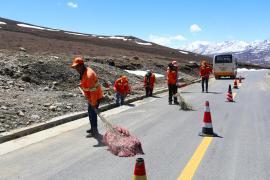 西藏“四好農村公路”：為農牧民帶來家門口的就業機會