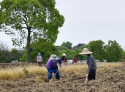 西藏一季度地區生產總值同比增長6.4%