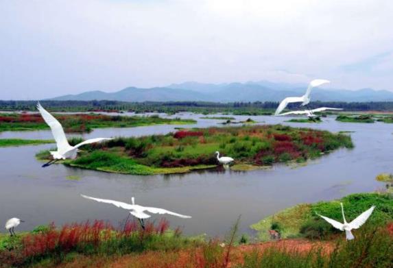 美景山东丨泰安汶河国家湿地公园：集实用与美景于一体