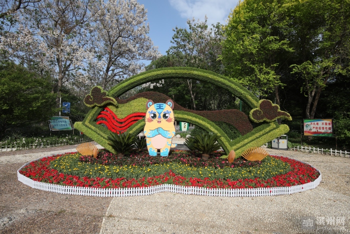 滨州植物雕塑美化扮靓节日城区环境