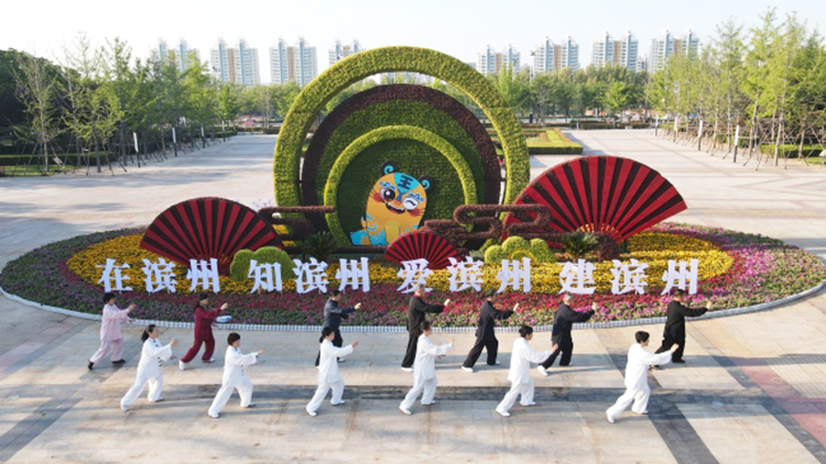 滨州：植物雕塑美化扮靓节日城区环境