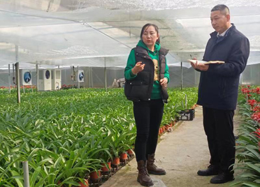 潍坊：新金融助推传统农业迭代升级