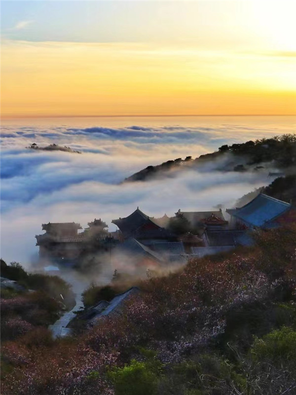 碧霞宝光云海玉盘晚霞夕照三大奇观伴花海泰山之巅再现绝美风光