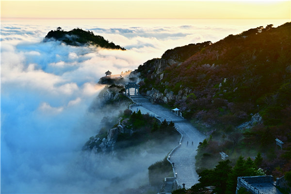 碧霞宝光云海玉盘晚霞夕照三大奇观伴花海泰山之巅再现绝美风光