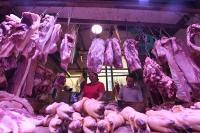 国家发改委：猪粮比价回升至过度下跌二级预警区间
