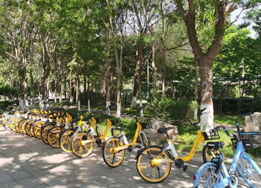  减至2万辆！潍坊中心城区共享单车减量提质工作初步完成