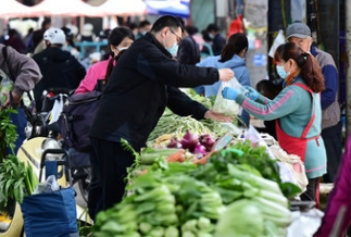 济南：部分蔬菜价格回归“1元时代”