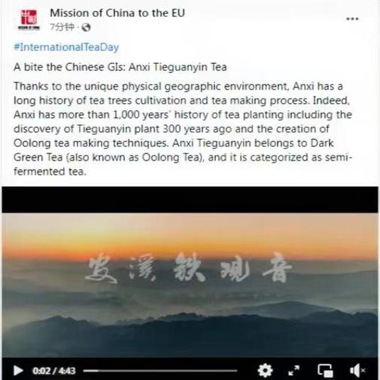 福建省联合驻欧盟使团在国外新媒体平台推介闽茶