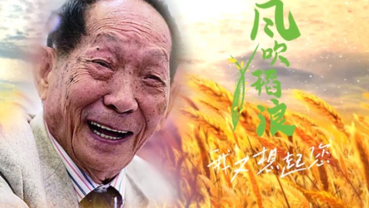 袁隆平逝世一周年：再聽一遍袁爺爺說的那些話