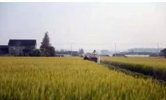 跨省幫忙不誤農(nóng)時(shí)！太倉“好鄰居”耕起了上海嘉定農(nóng)場(chǎng)的地