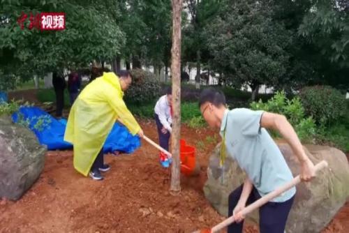 23位院士長沙植下“院士林” 弘揚袁隆平科技創(chuàng)新精神