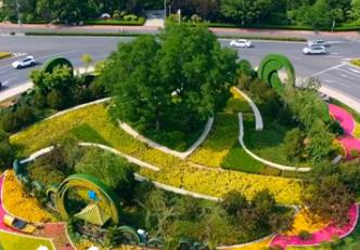  济南唯一快车道中央环岛绿化提升，三大主题花卉造型格外吸睛 