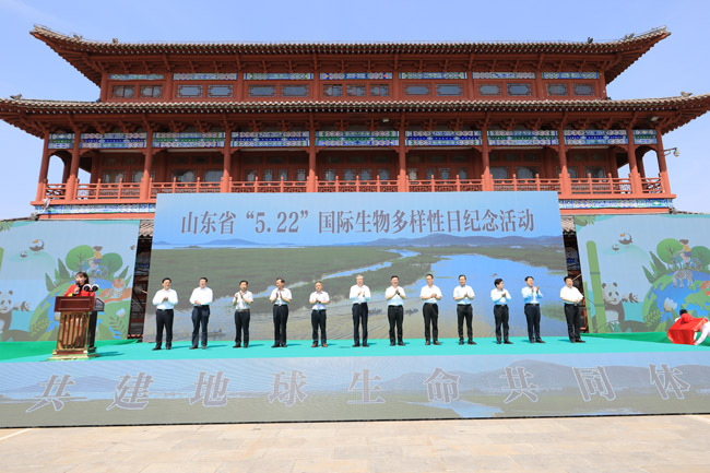 山東：放魚養水 生物多樣 共建清潔美麗世界