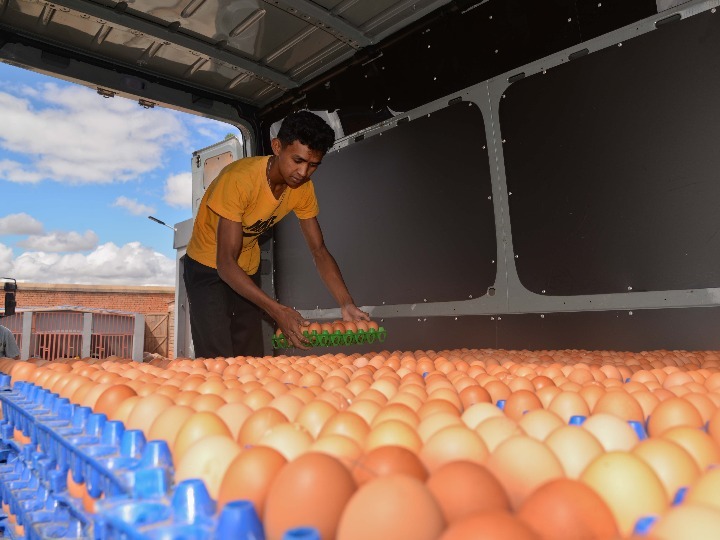 全球连线 | 再也不担心鸡蛋碎了！这条“鸡蛋路”造福非洲岛国