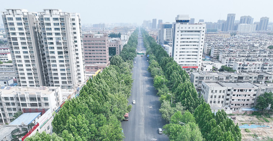  聊城：柳园路主路面5月25日恢复通行  