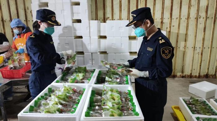 廣東茂名今年荔枝出口已超1200噸