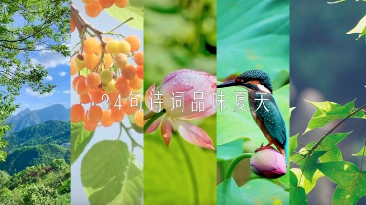 古風之美！24句詩詞品味夏天