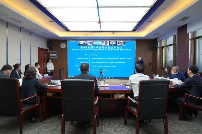 貴州與摩洛哥蘇斯—馬賽大區進行農業交流