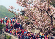 6月份泰安拟组织开展15项旅游节庆活动