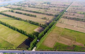 截至5月天津高标准农田建设项目中标5.27亿元