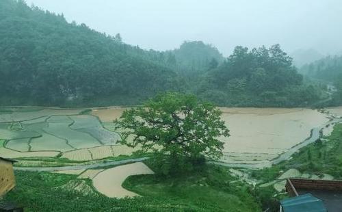 暴雨致广西环江县多地受灾 多部门紧急救援