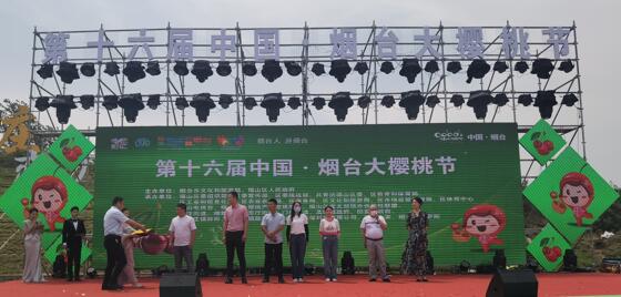 第十六届中国·烟台大樱桃节盛大启幕 2万张采摘券免费送