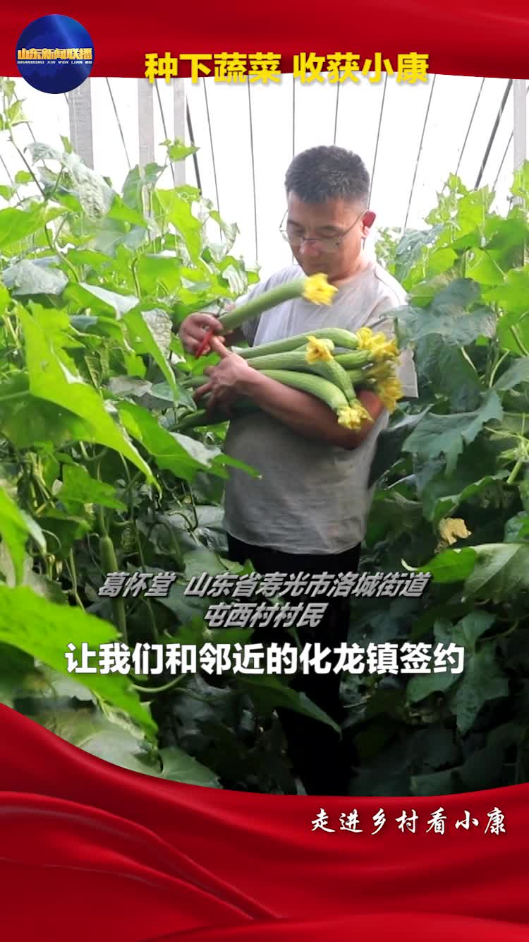 种下蔬菜 收获小康