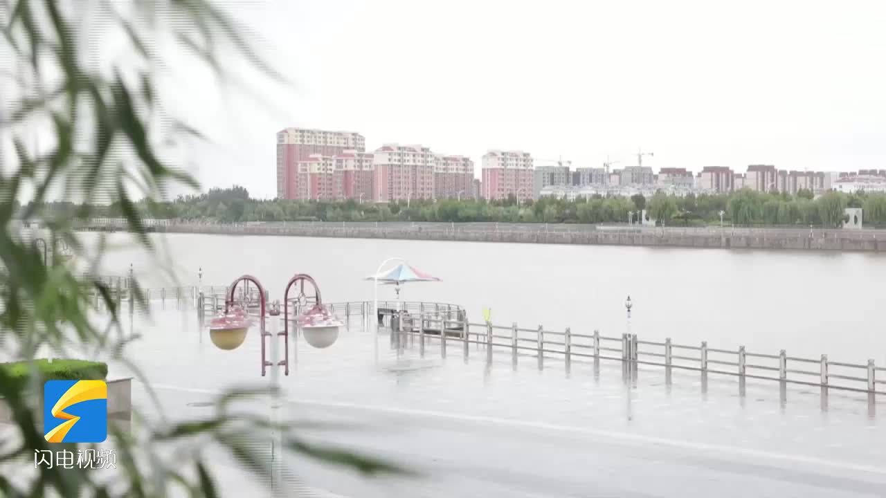 滨州沾化：迎降雨 冬枣专家支招雨后管理